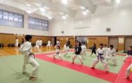 一般大人と少年たちのグループに分かれて空手動作の練習をしているようす