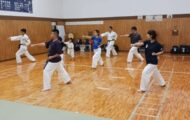 空手の型を練習している大人と子供の参加者たち