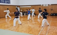 空手の型を練習している大人と子供の参加者たち
