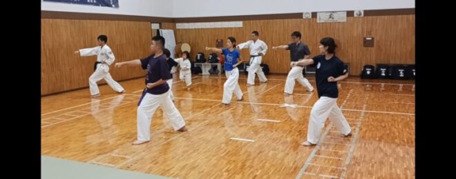空手の型を練習している大人と子供の参加者たち