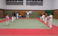 チーム戦で空手稽古をする少年たち