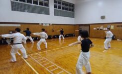 空手の型を練習している大人の練習生たち
