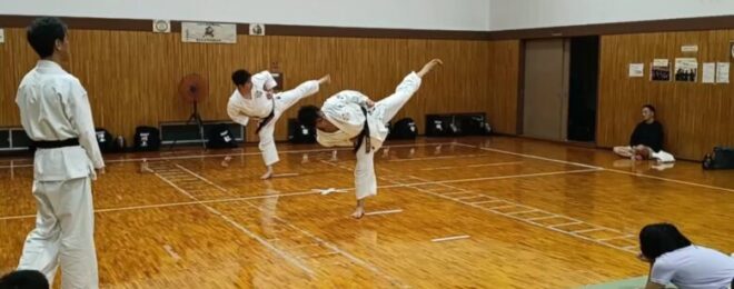 黒帯有段者の足刀蹴り