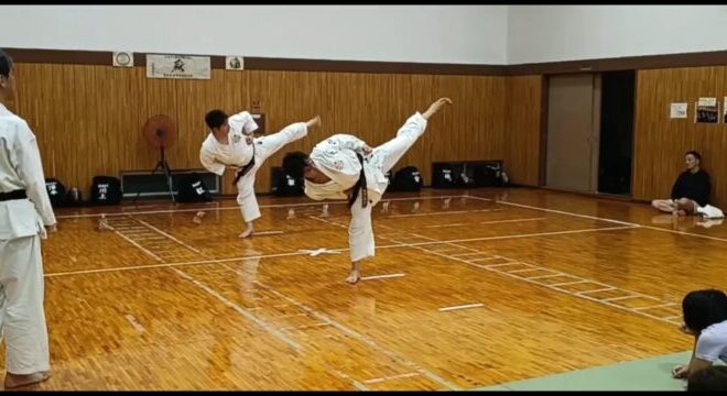 黒帯有段者の足刀蹴り