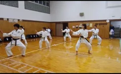 大人たちで息を合わせながら空手の型を練習しているようす