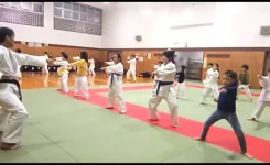 日曜日の空手合同稽古のようす