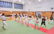 空手の突き動作の稽古をする大人と子供の参加者たち