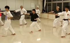 空手の型の稽古をする大人の参加者